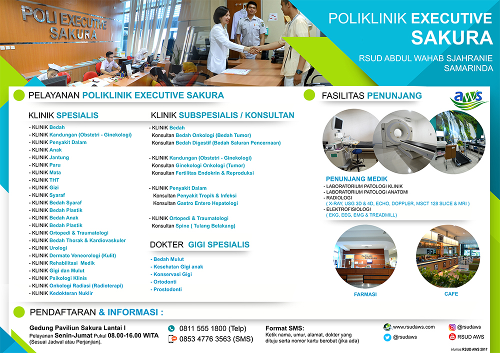 A1 poli executive sakura LNDSCP - resize.jpg